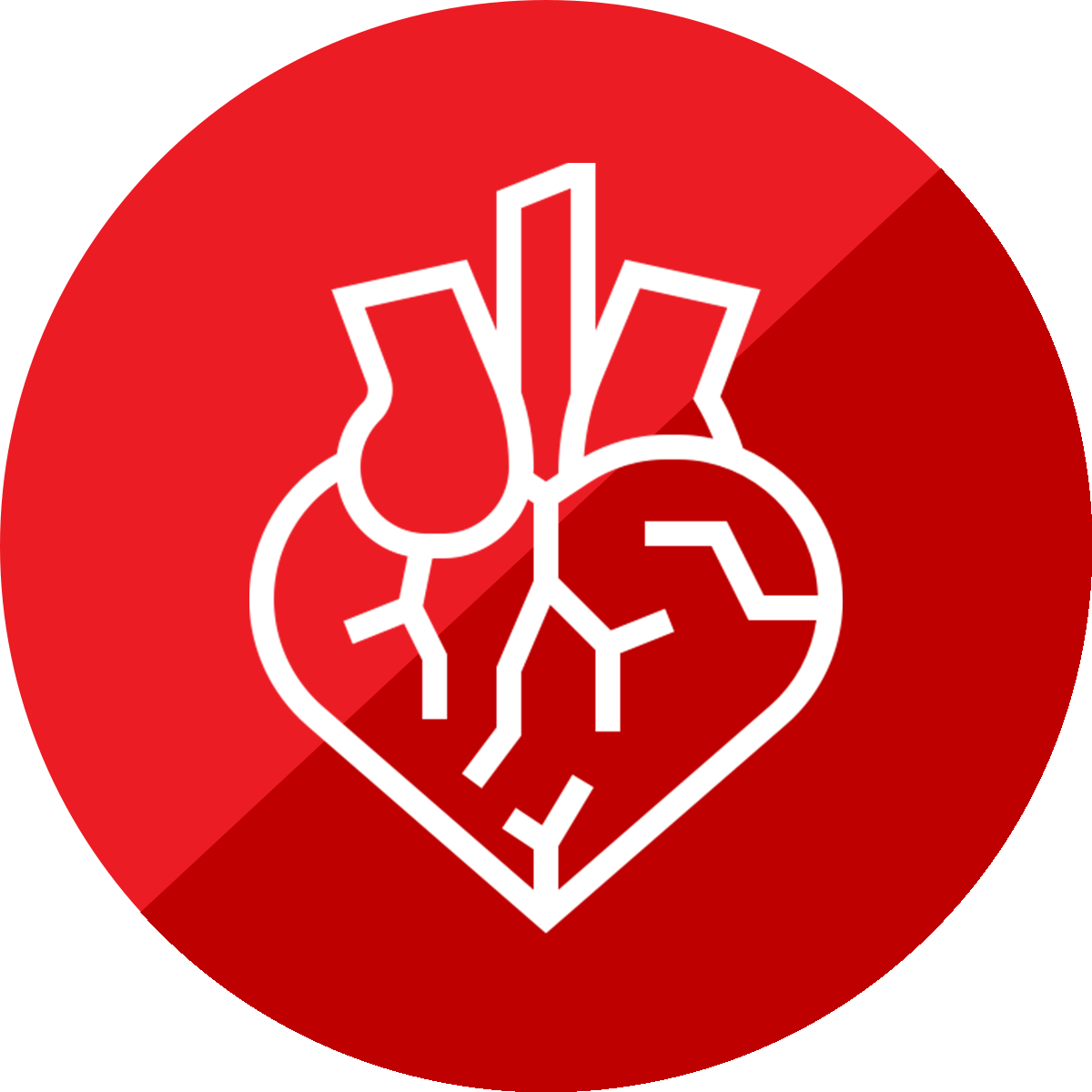 Cardiologia e Cardiochirurgia
